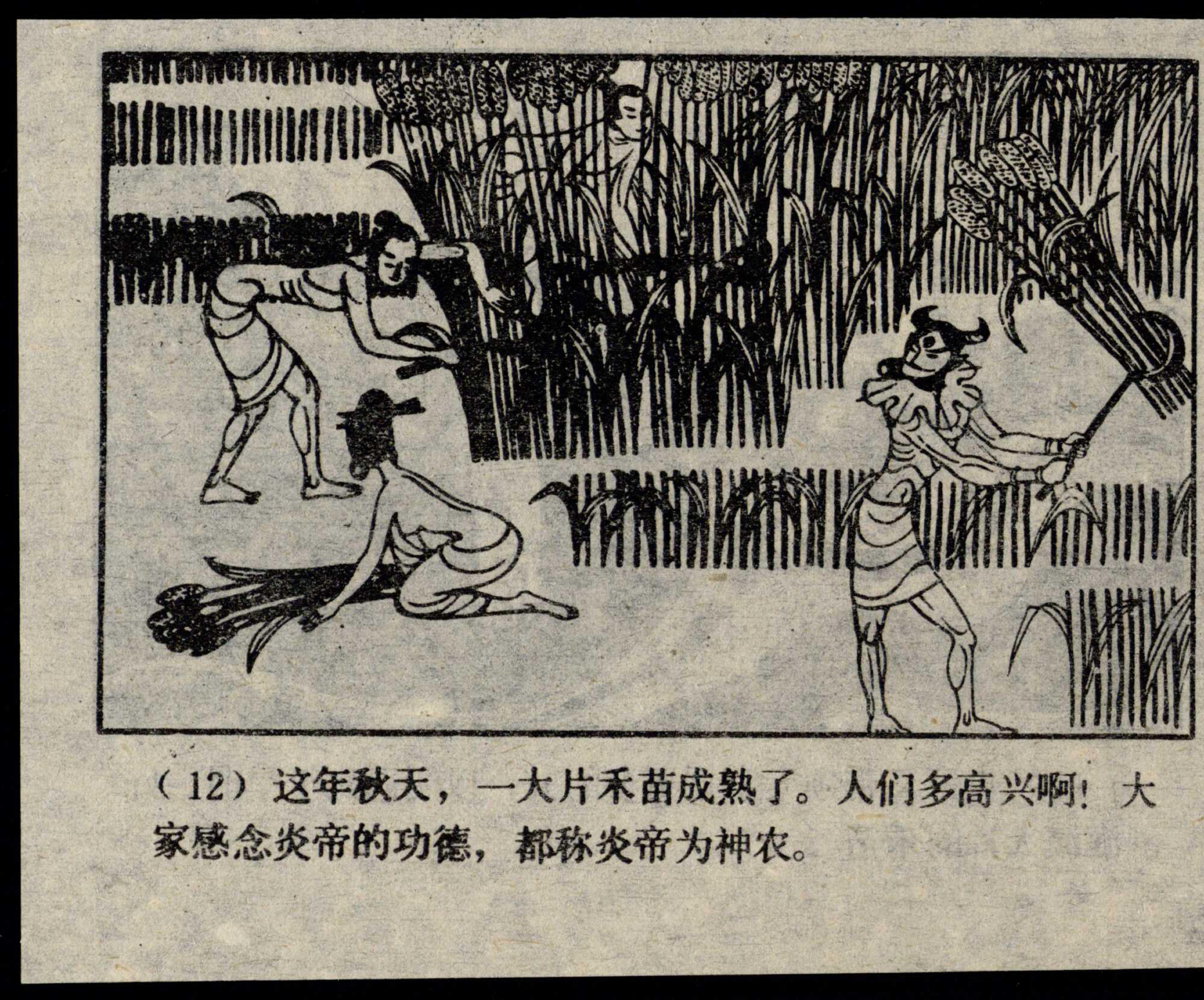 shennong page
