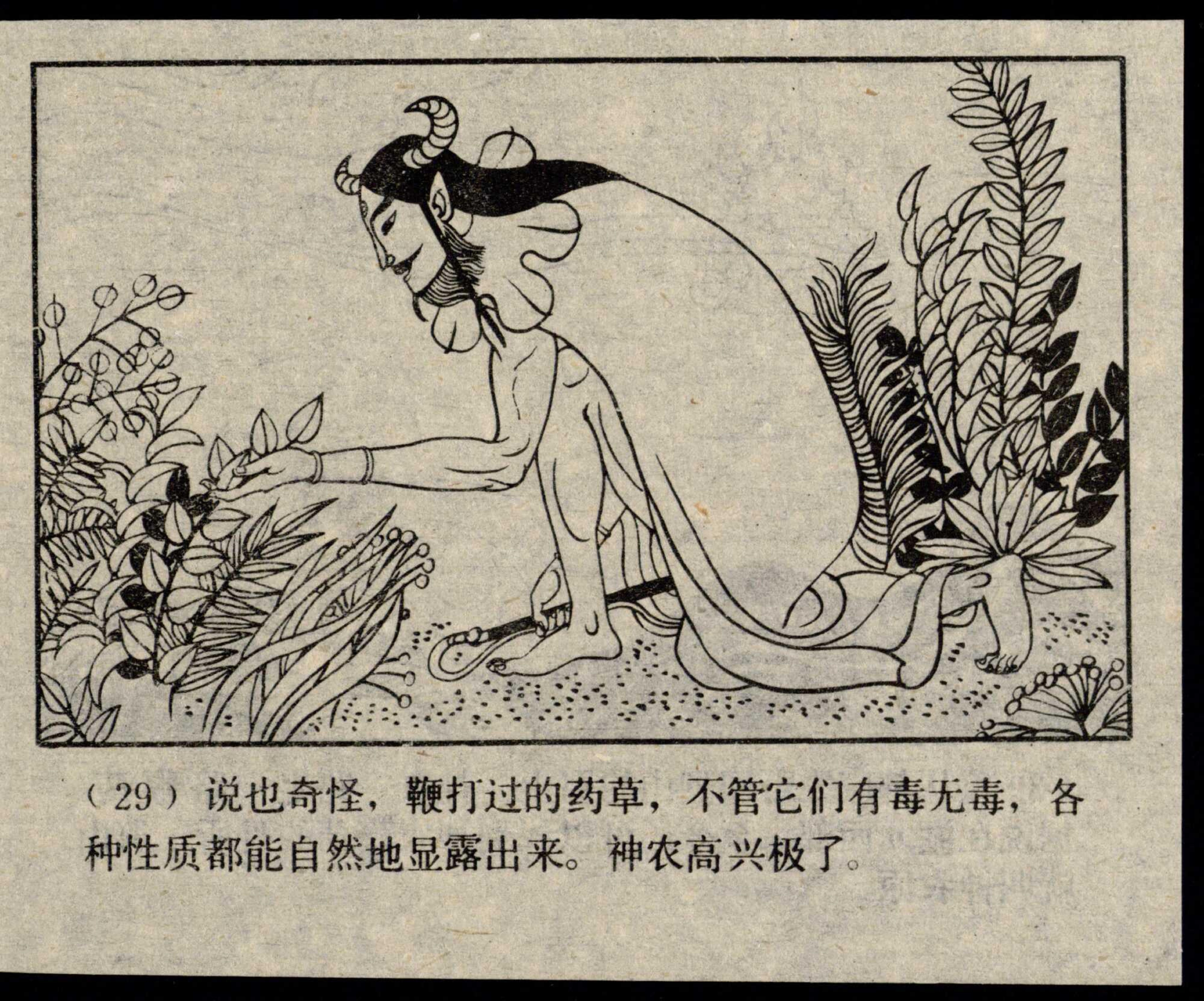 shennong page