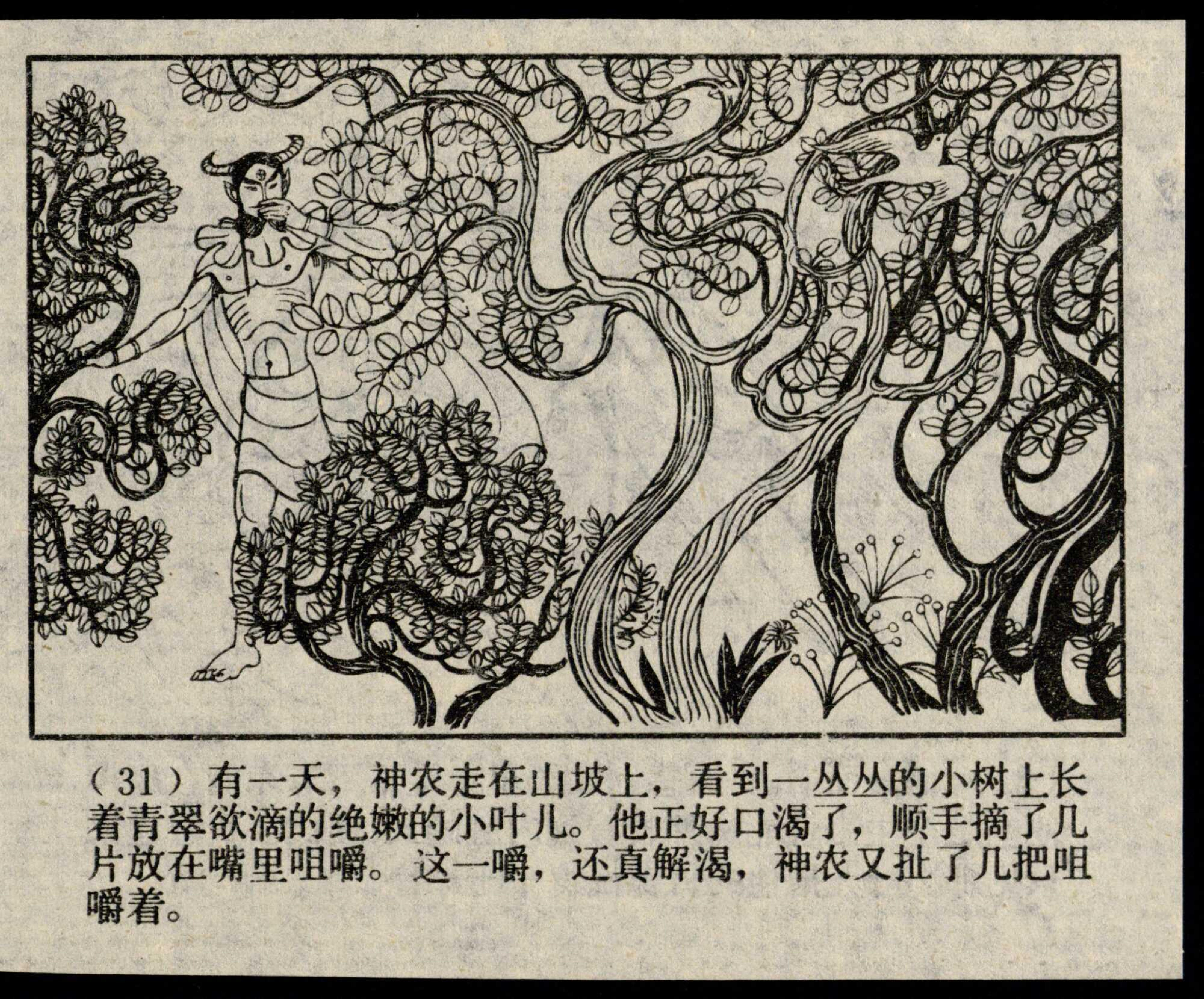 shennong page
