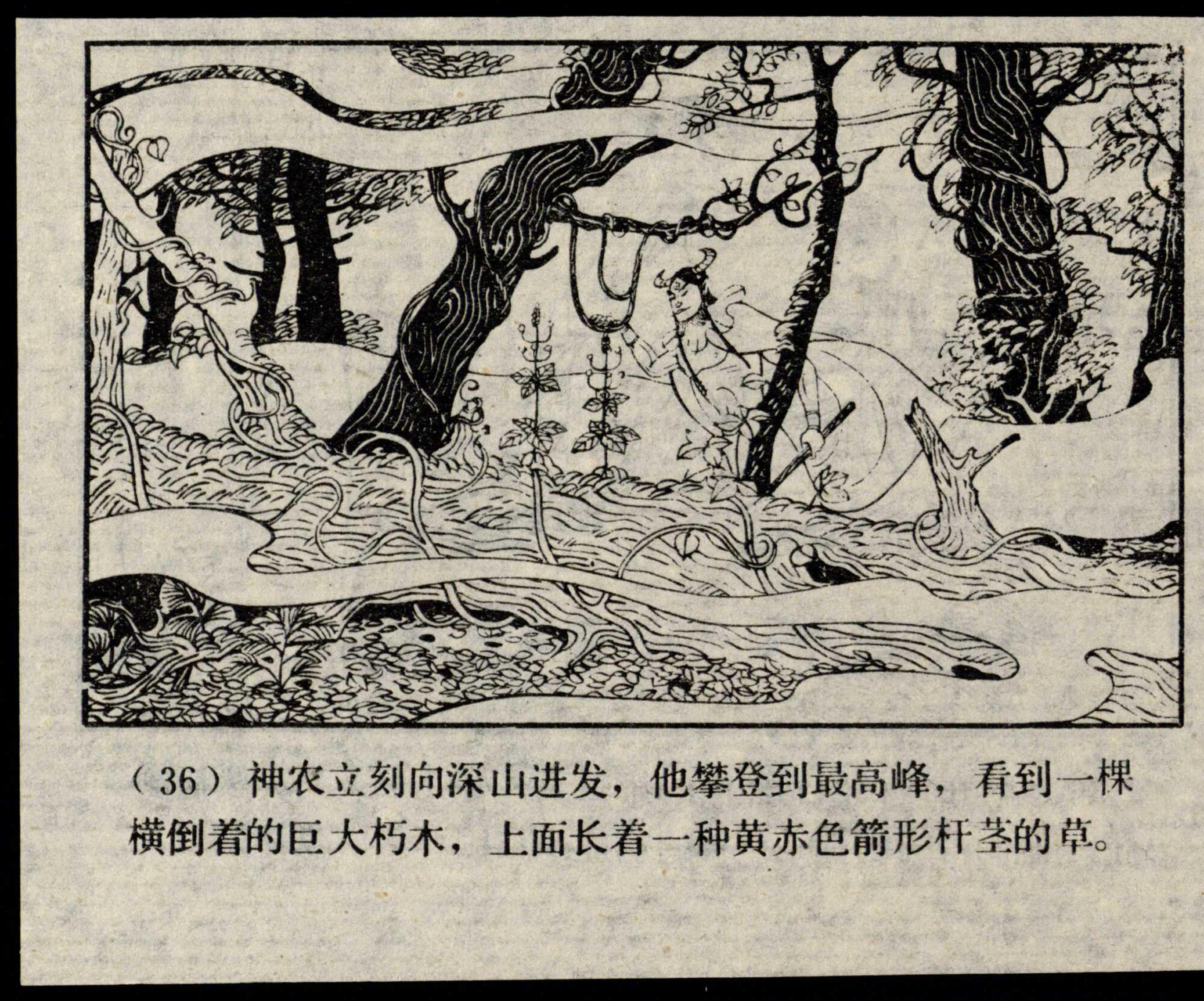 shennong page