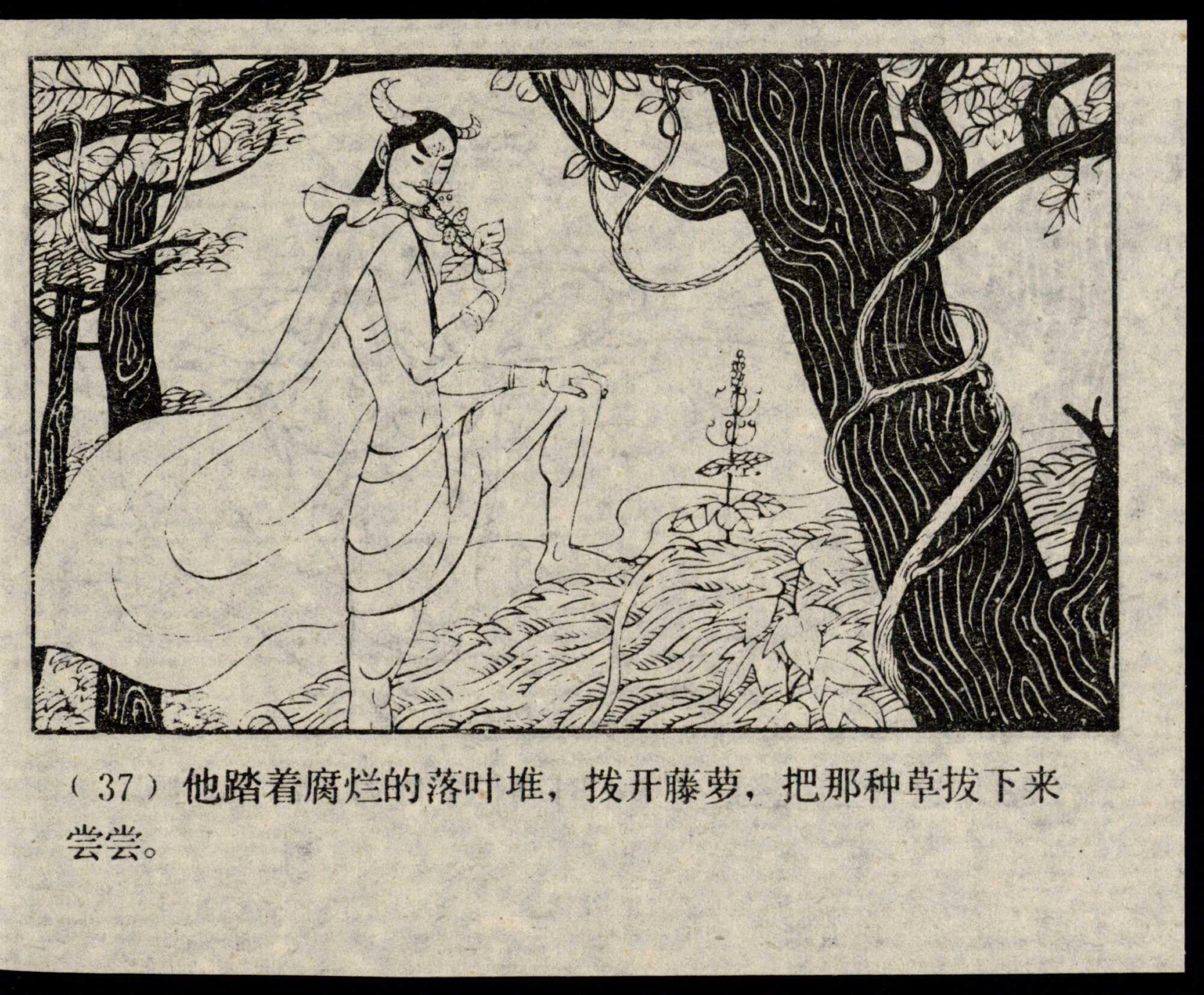 shennong page