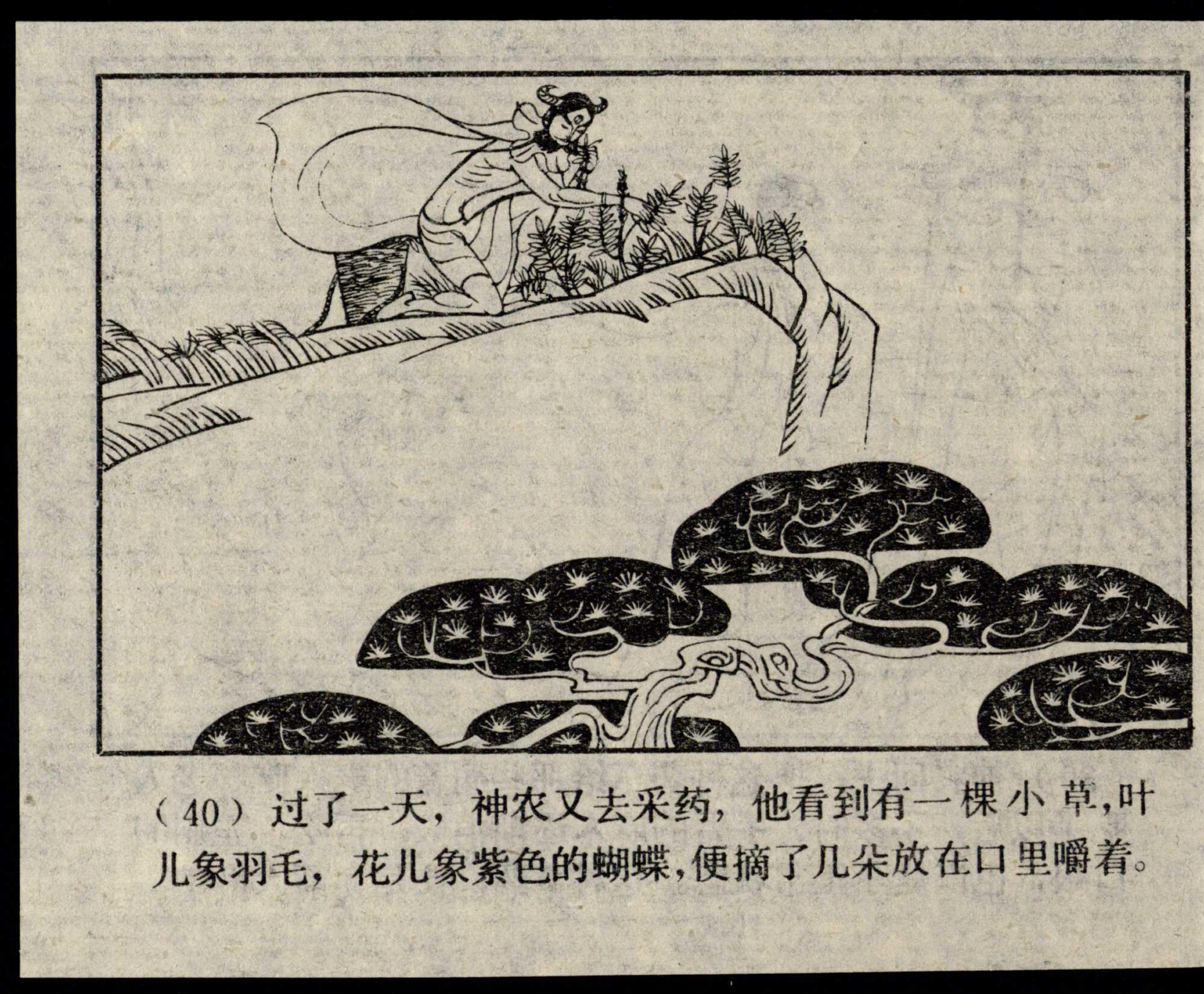 shennong page