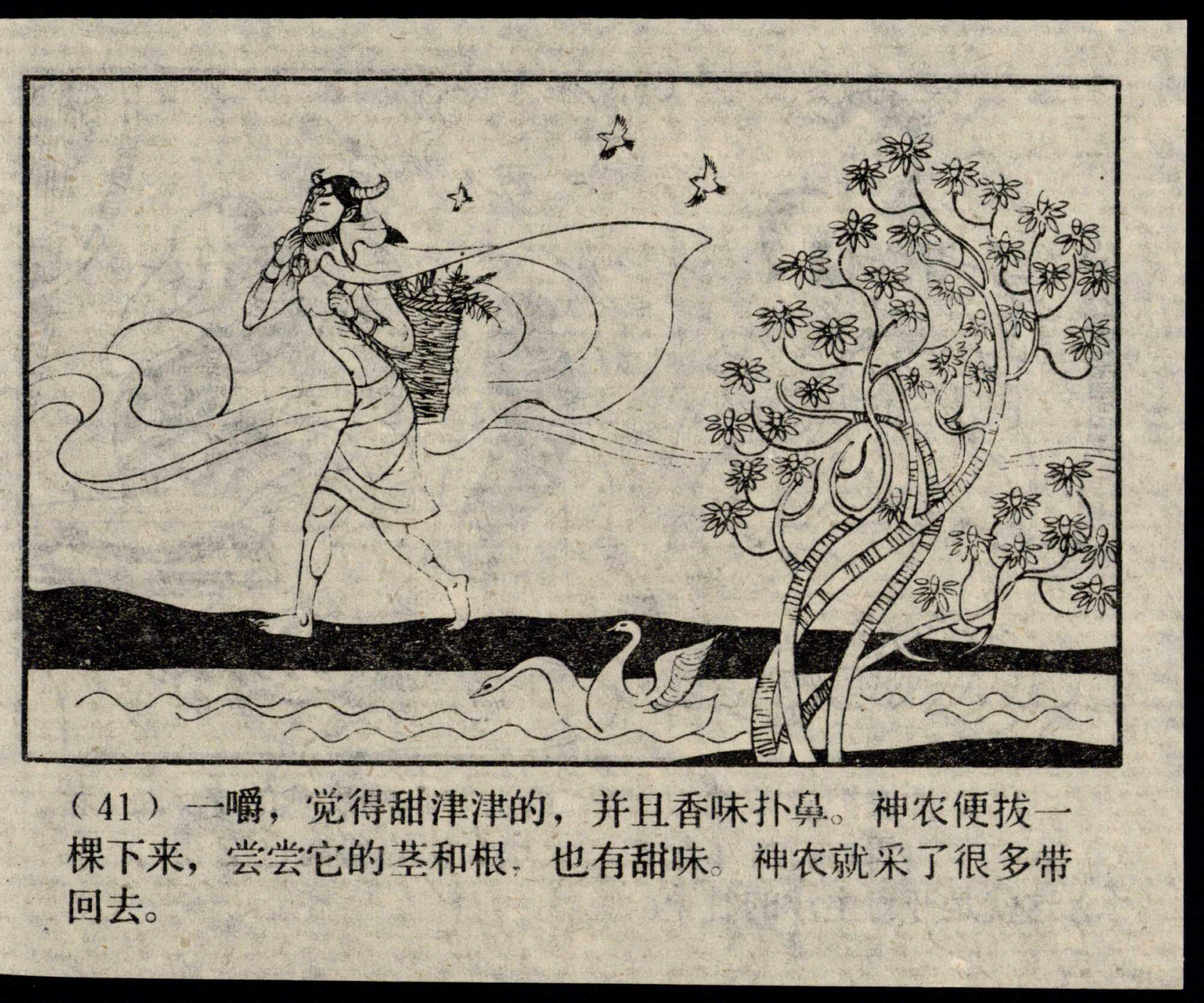 shennong page