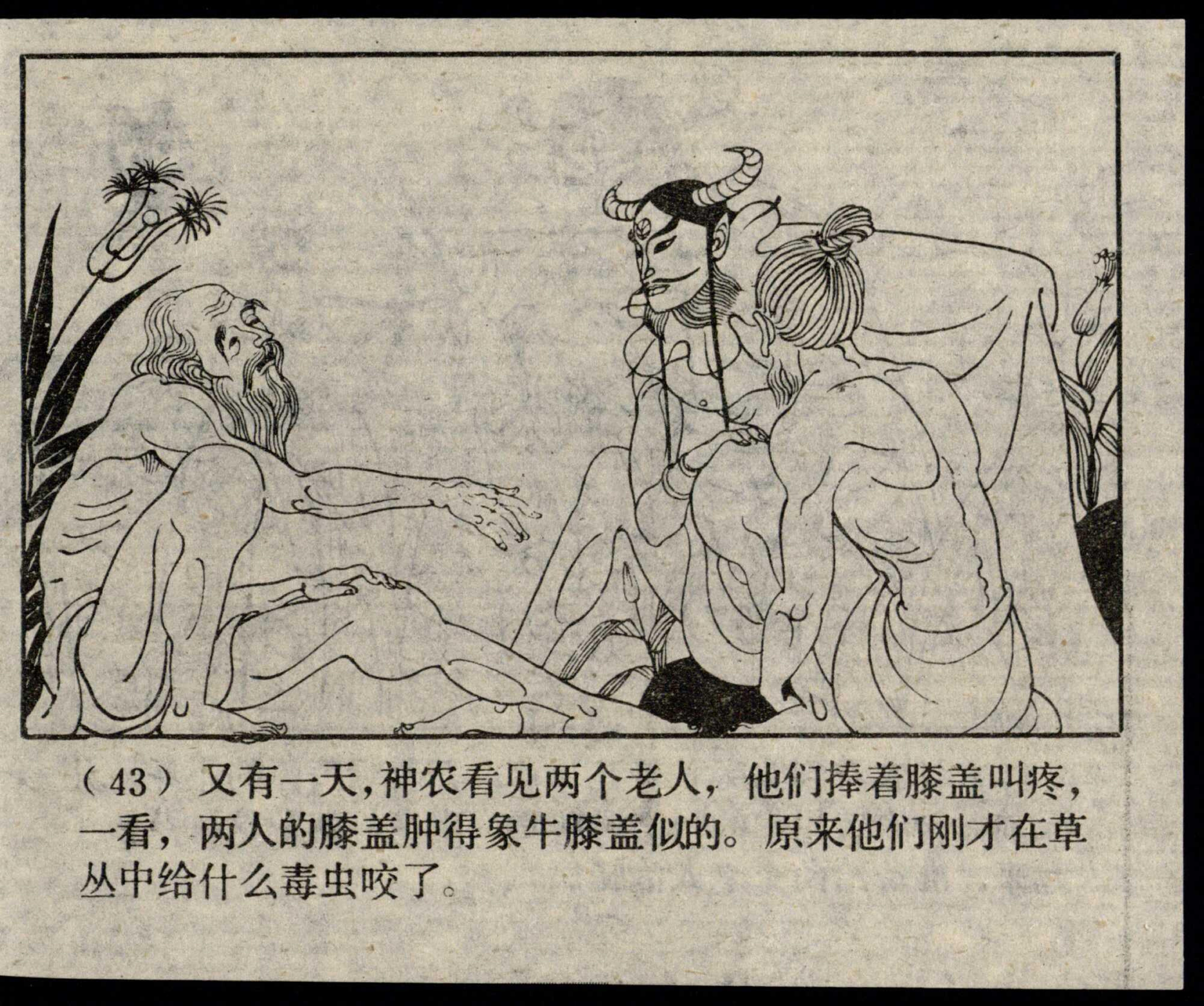 shennong page