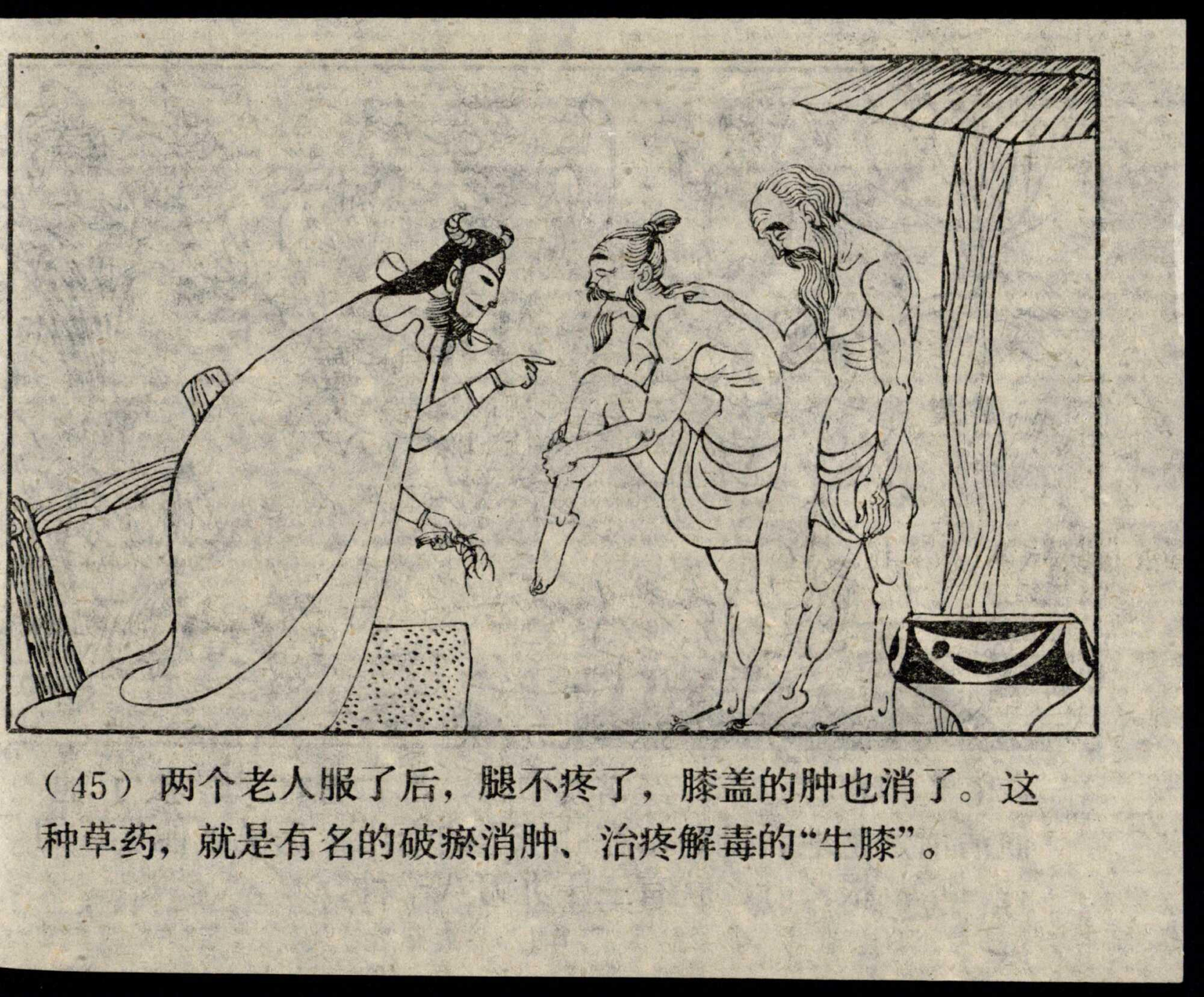 shennong page