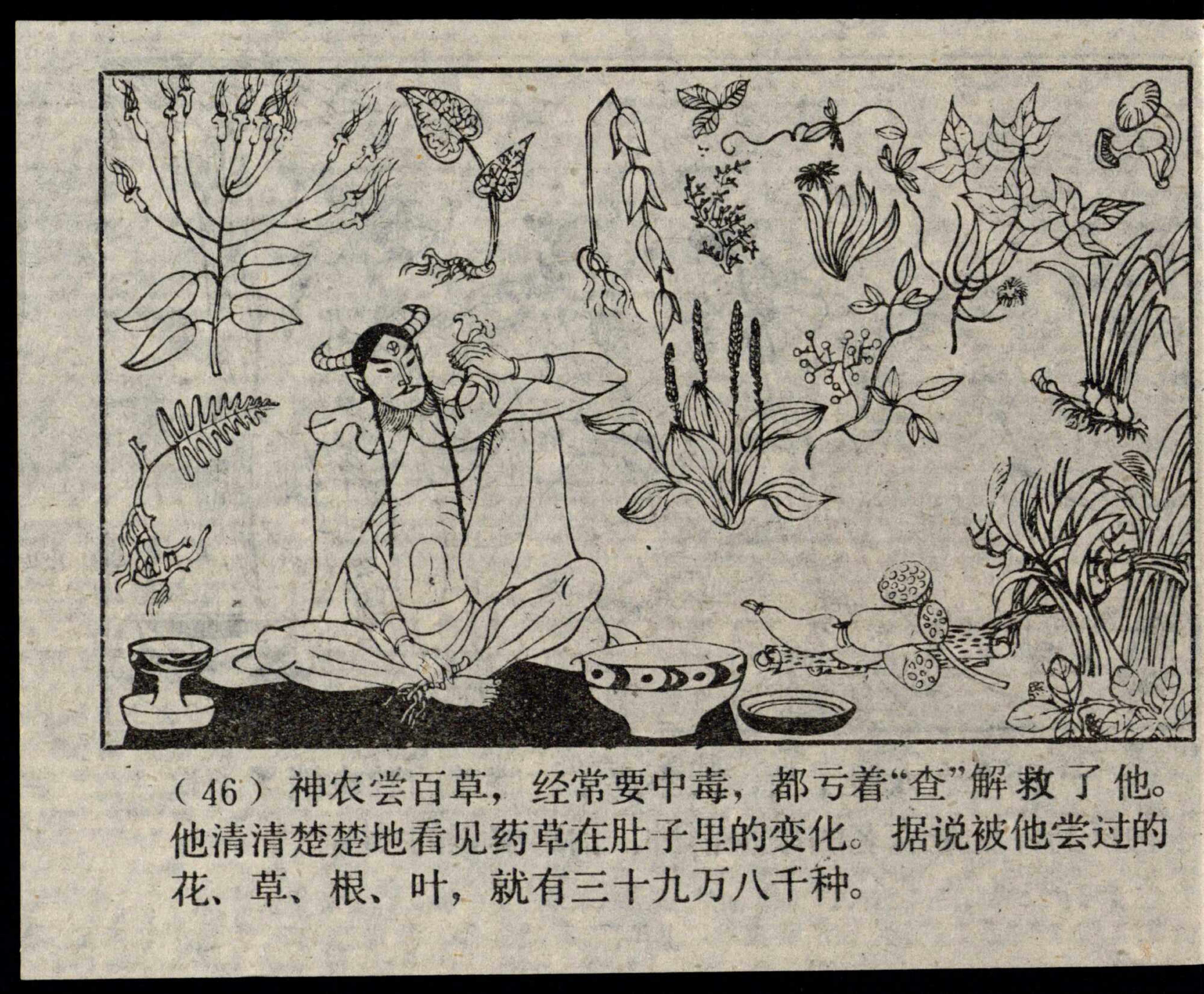 shennong page