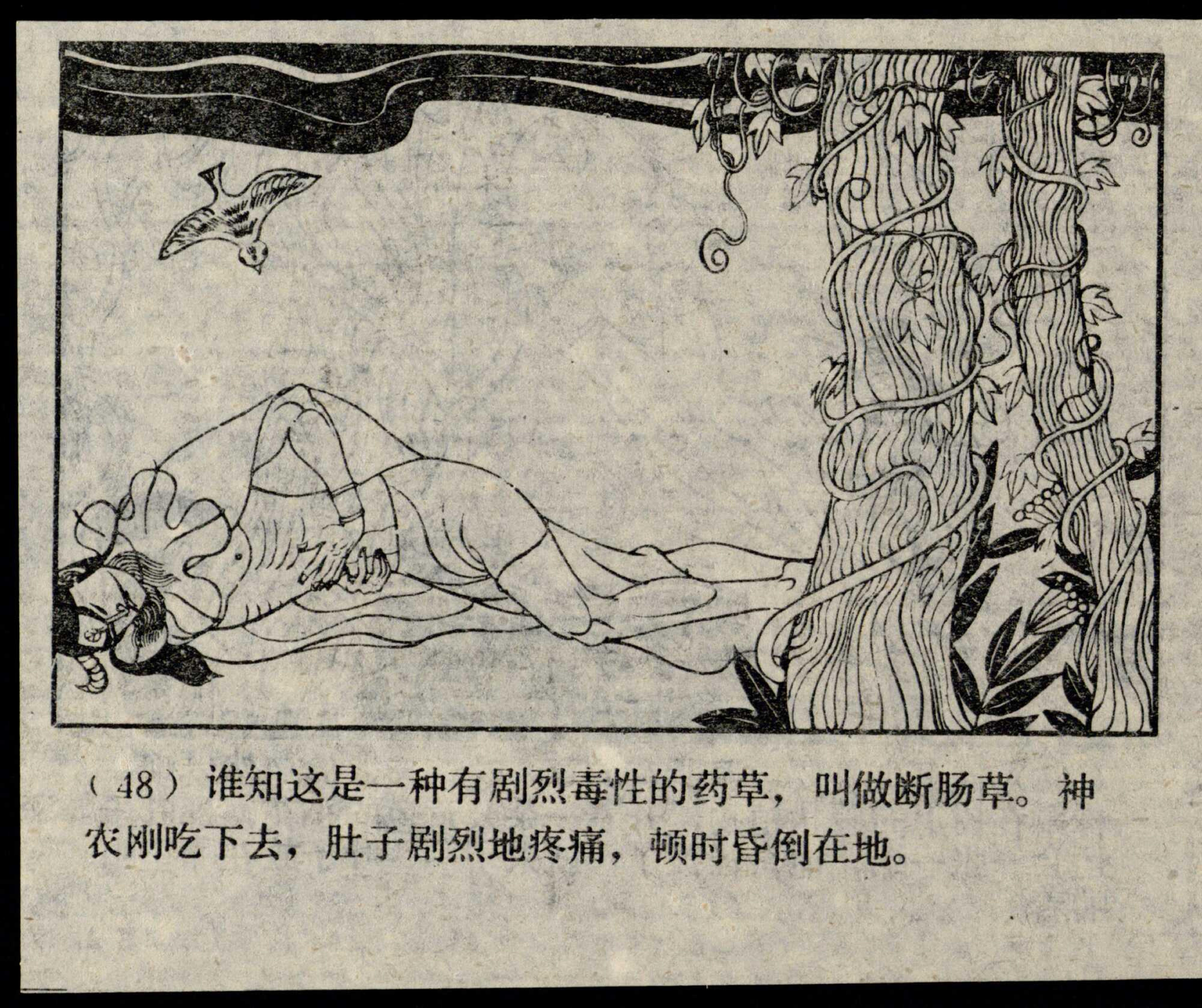 shennong page