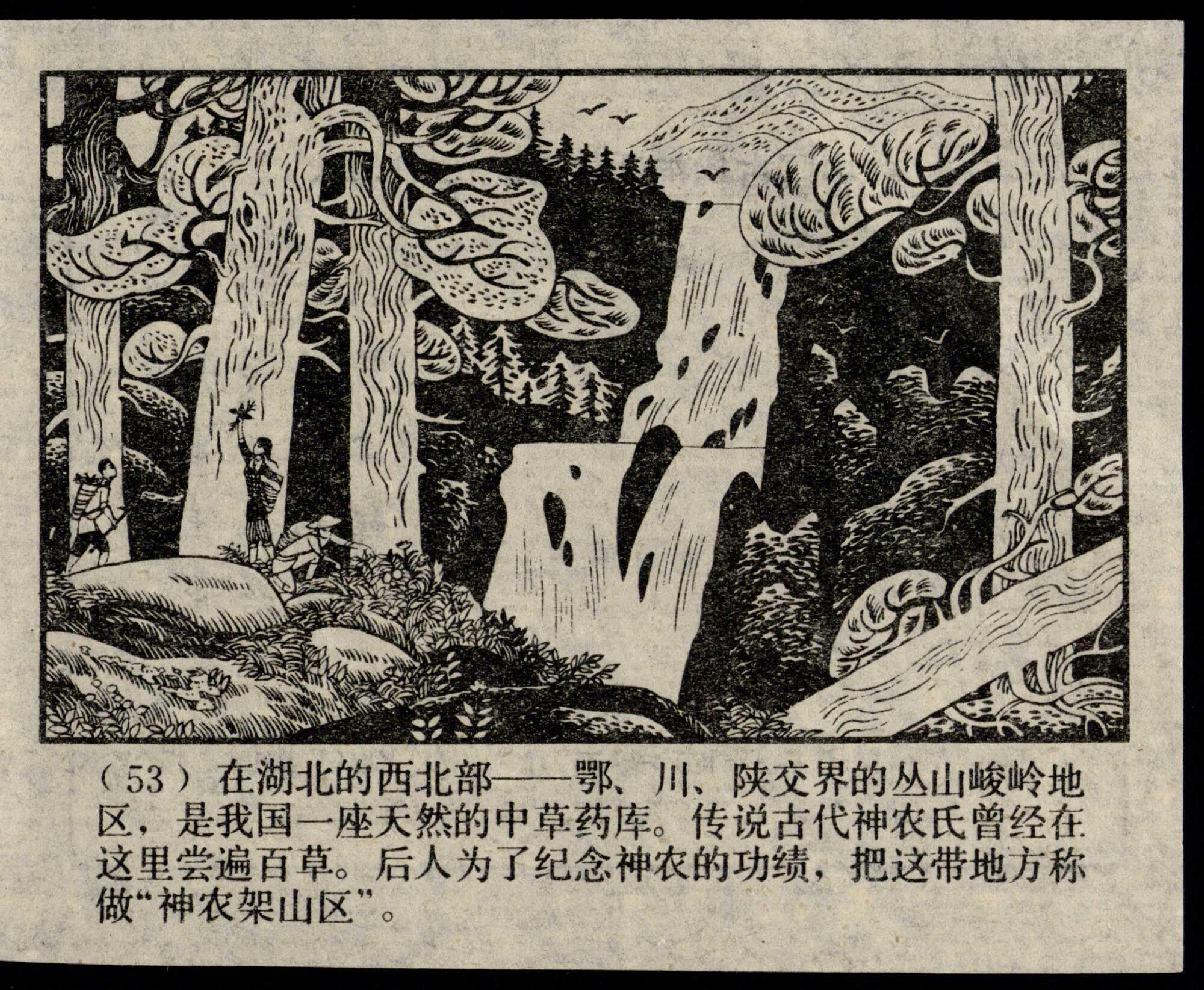 shennong page